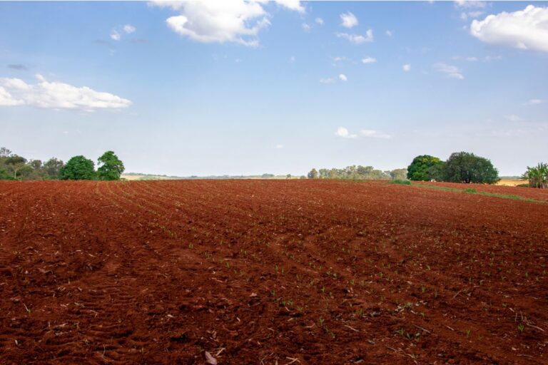 Lavoro expande tecnologia FarmLab para Paraná e Mato Grosso