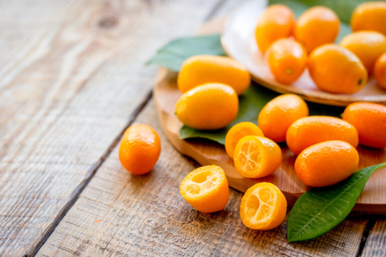 Laranja Kinkan: entenda os benefícios para o produtor e como cultivar