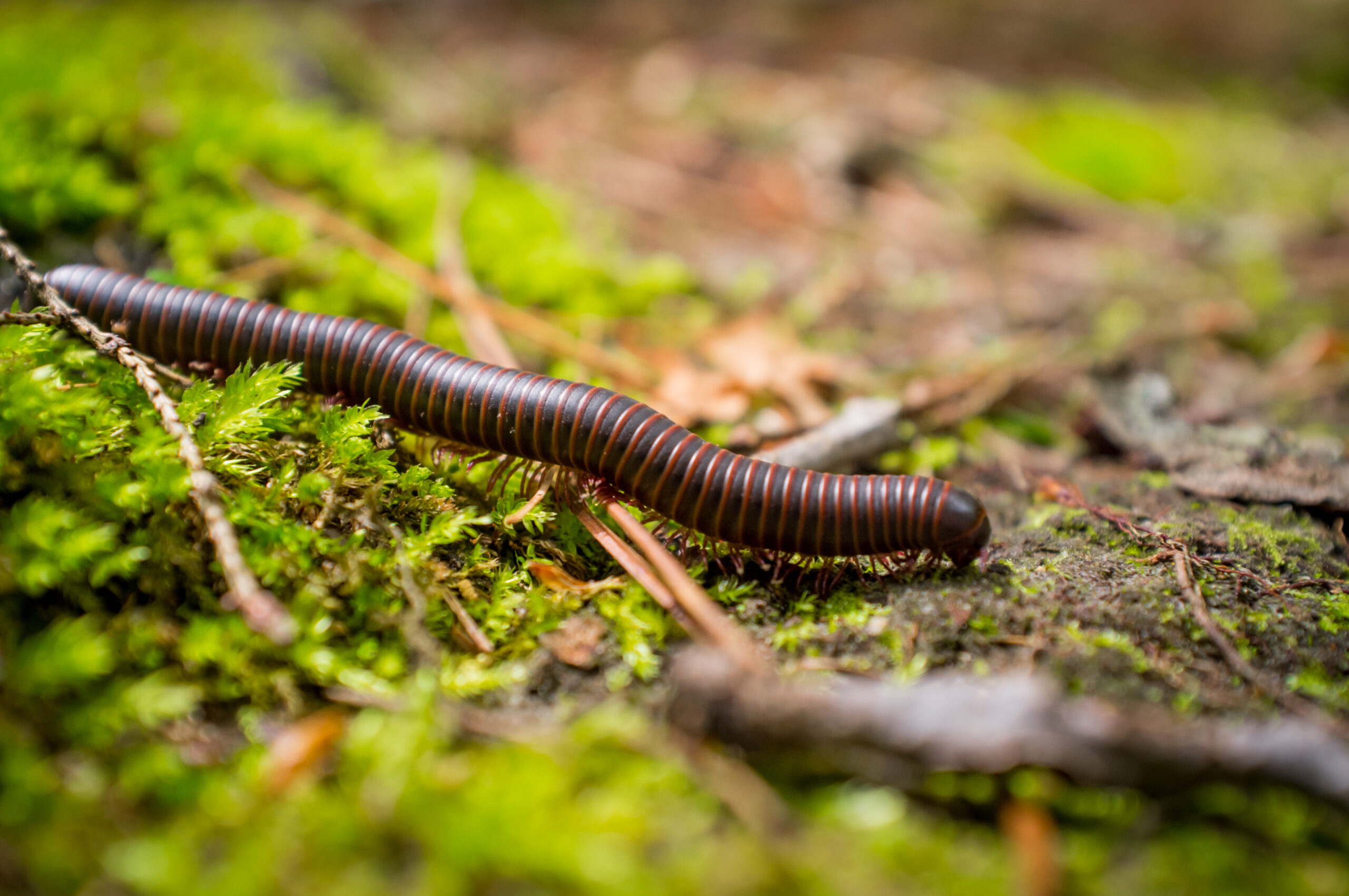 Foto: Adobe Stock