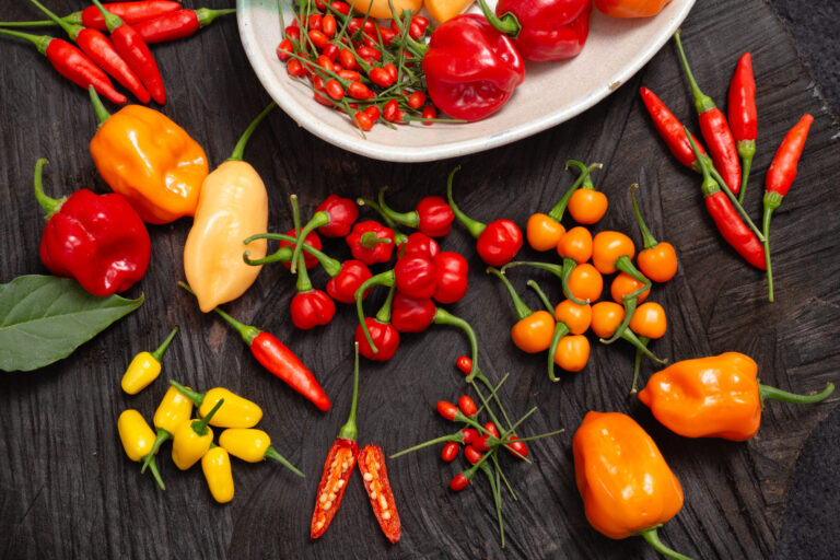 Confira os principais tipos de pimenta e como cultivar