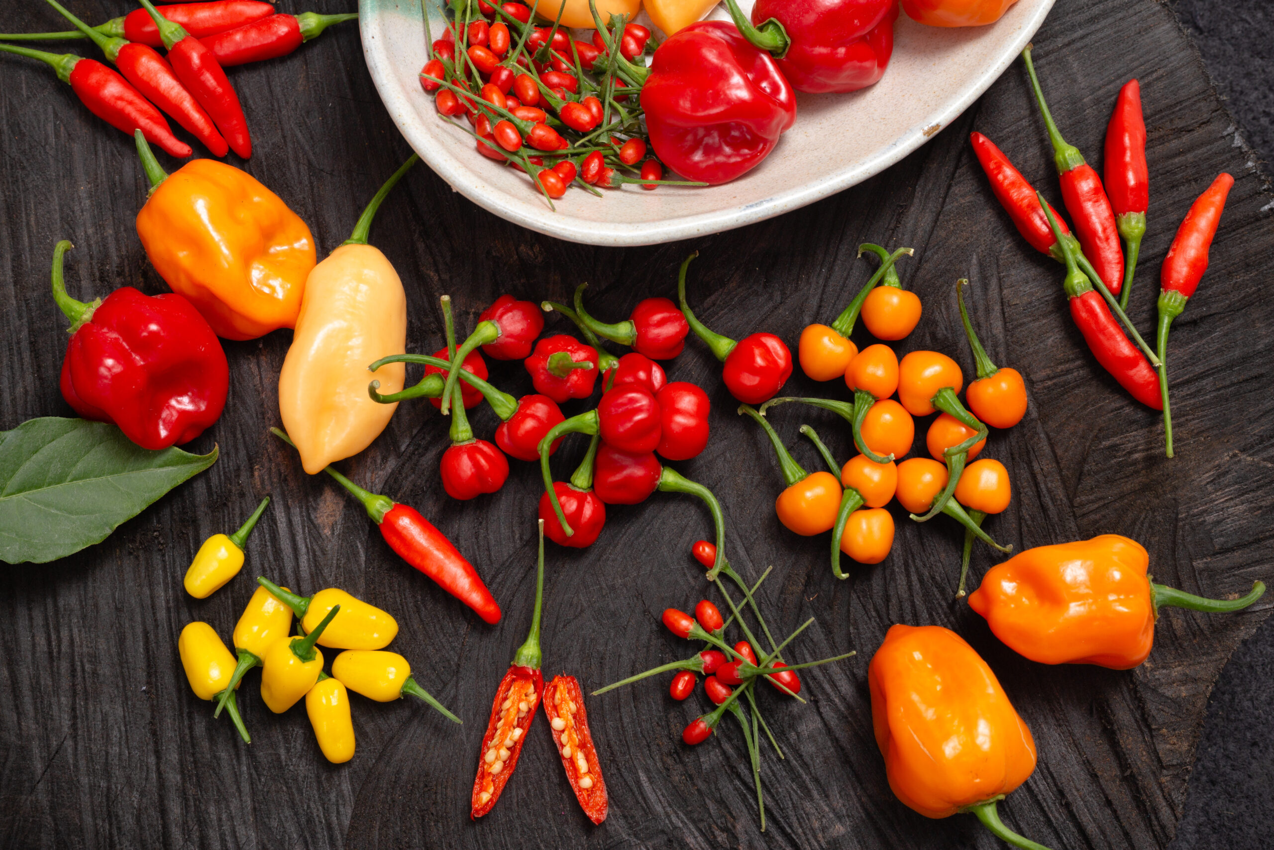 Foto: Adobe Stock