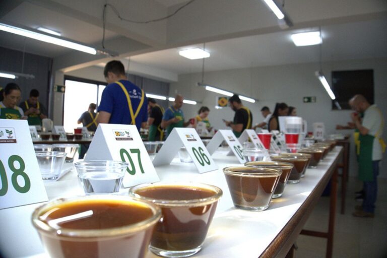 Leilão do Cup of Excellence tem o melhor preço médio da história: US$ 3,3 mil por saca