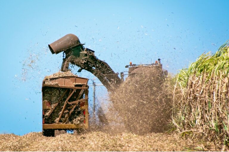 Lei que garante repasse de CBios para produtores de cana é sancionada