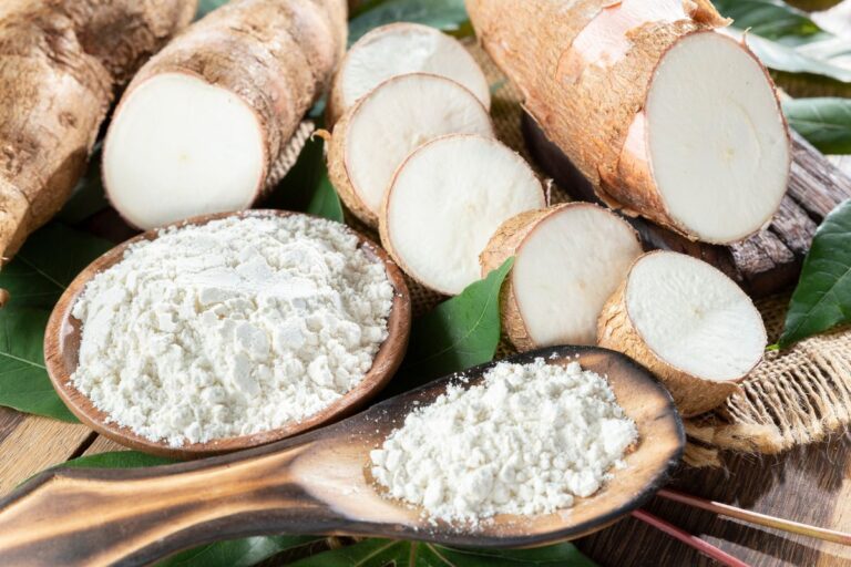 Conab prepara compra de fécula e farinha de mandioca