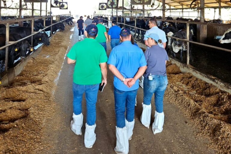 Genética será foco da segunda etapa de projeto de bem-estar animal da Danone