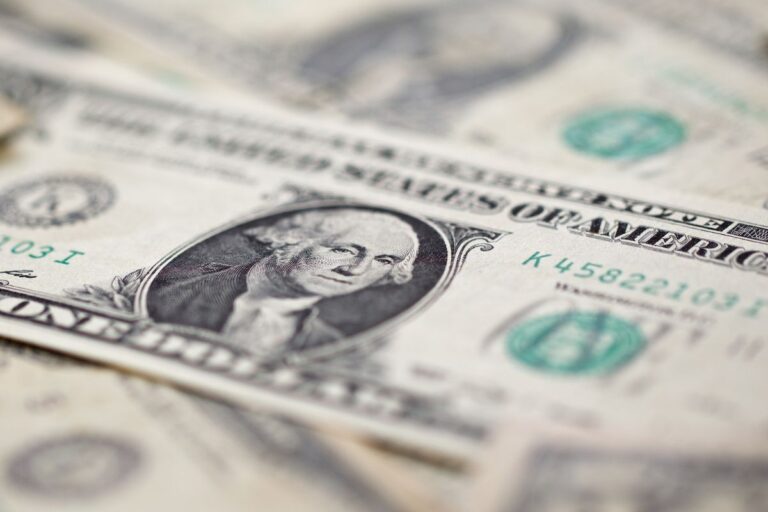 Dólar tem alta de 27,3% em 2024; qual a perspectiva para 2025?