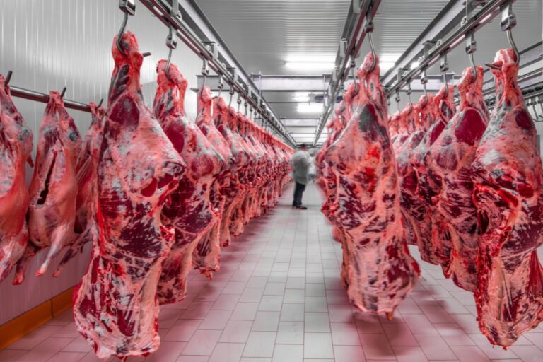 Frigoríficos interrompem produção de carne para os EUA, diz Abiec