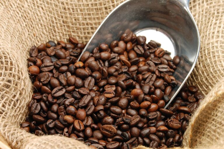 Exportações de café atingem novo recorde, mas desafios logísticos deixam setor em alerta