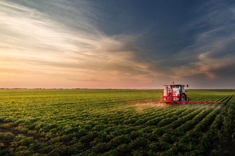 PIB do agro recua 3,5% no acumulado do ano