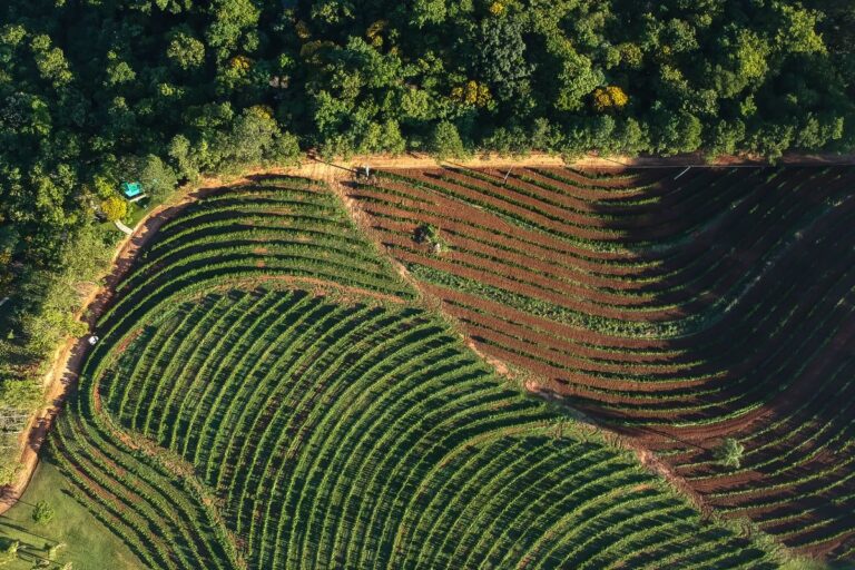 Abiec alerta para “guerra comercial de sanções”, se PL da Reciprocidade Ambiental for aprovado