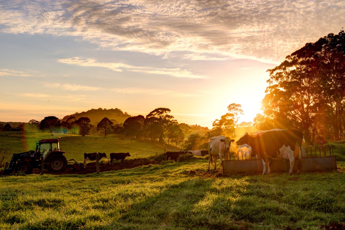 Foto: Adobe Stock