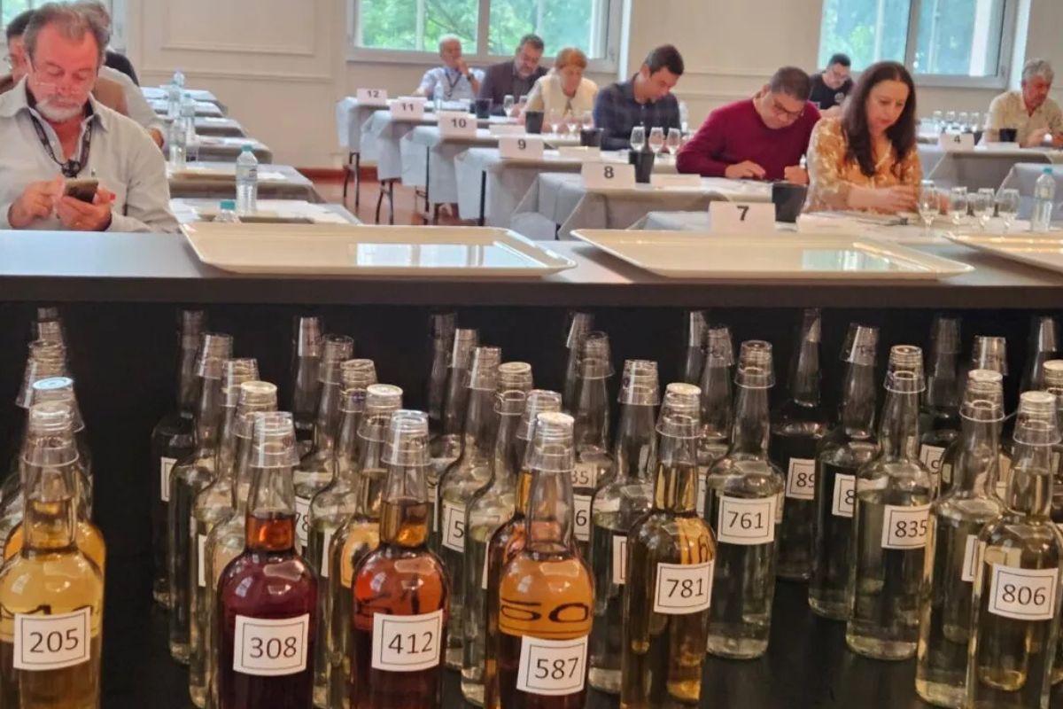 78 marcas de cachaça foram reconhecidas pelos jurados na primeira edição do Concurso de Qualidade do Estado de São Paulo. Foto: SAA/Divulgação