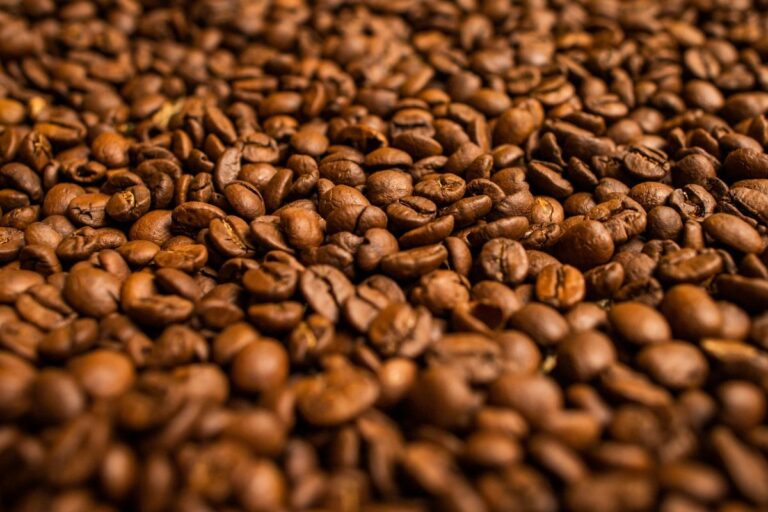 Exportação total de café em novembro cresce 22% ante novembro de 2023