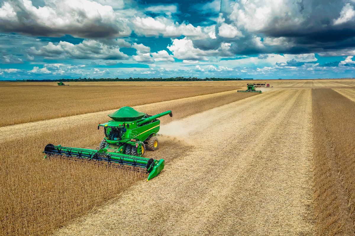 Foto: herbertmonfre - stock.adobe.com
