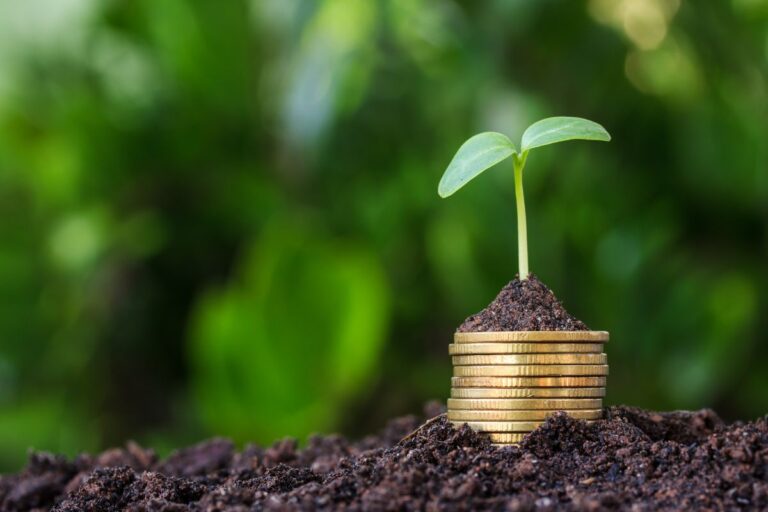 Selic a 12,25% deve encarecer o crédito rural no próximo ano, avalia Markestrat