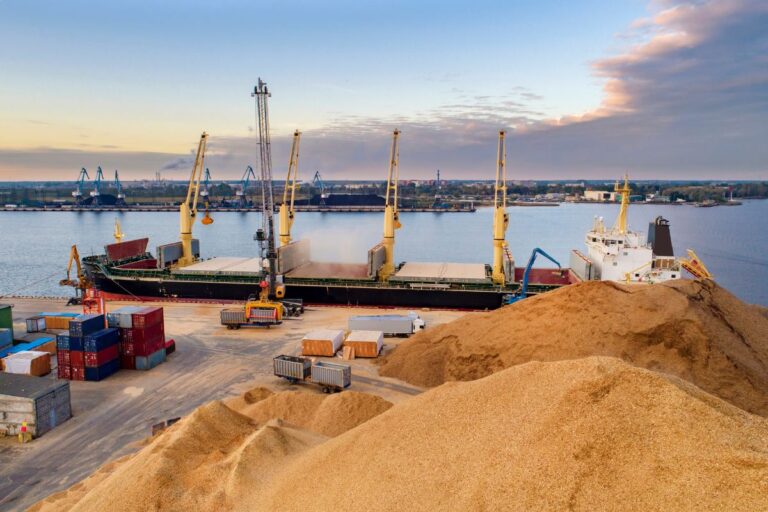 Exportações do agronegócio do ES batem recorde em novembro