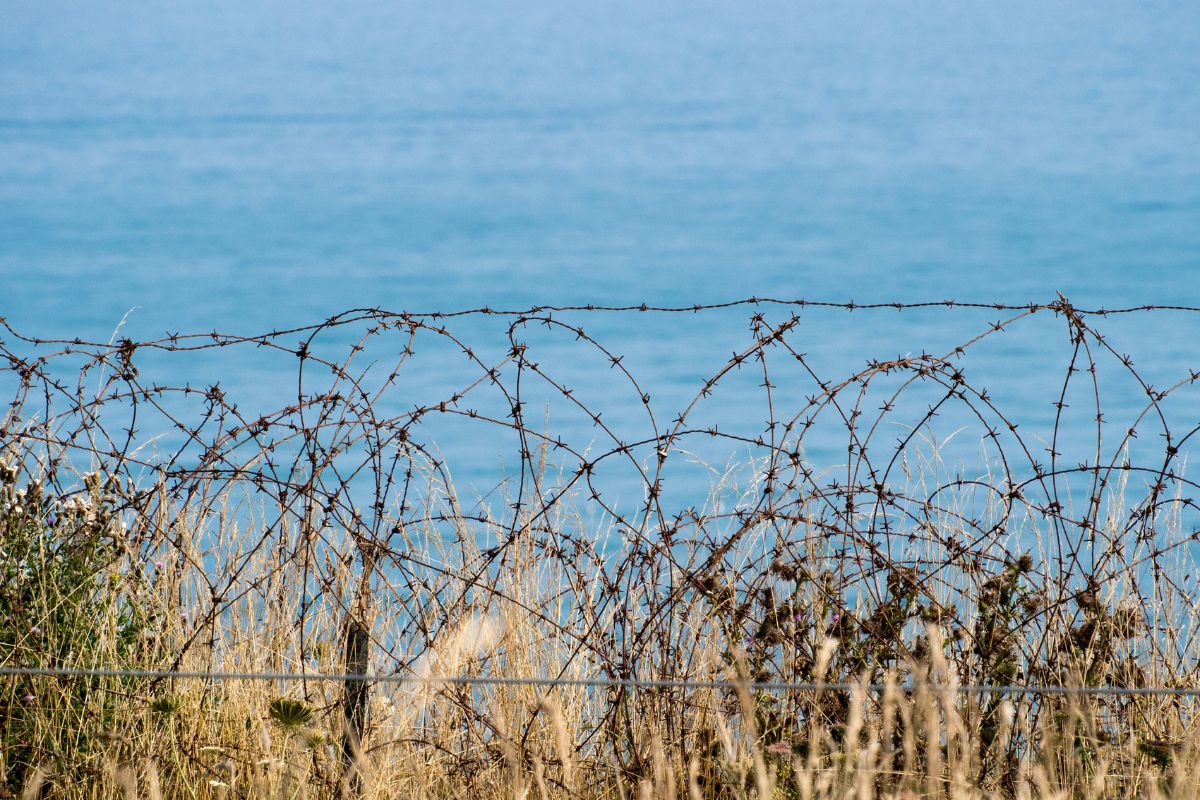 Foto: Adobe Stock