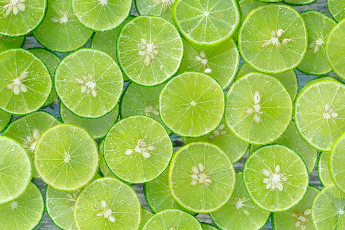 Foto: Adobe Stock
