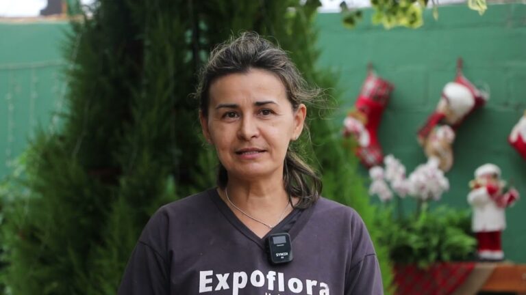  Setor de flores é destaque no Natal de Holambra