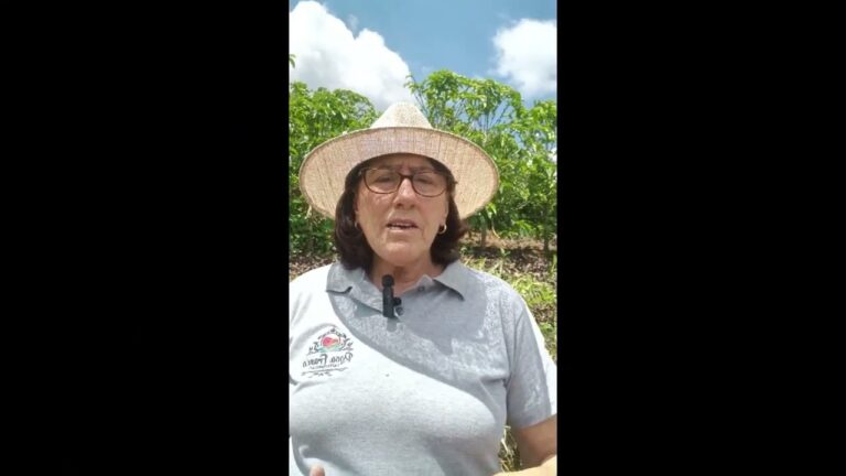  Produtora fala sobre o café da Região Vulcânica