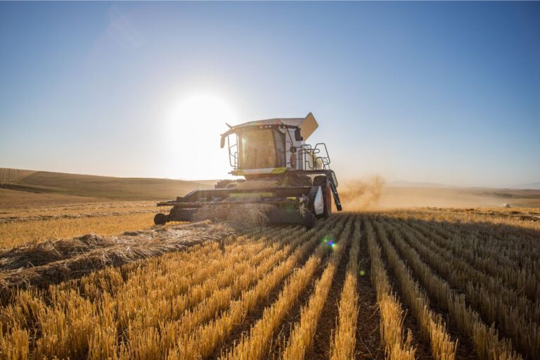 CNA projeta crescimento de até 5% no PIB do Agro em 2025