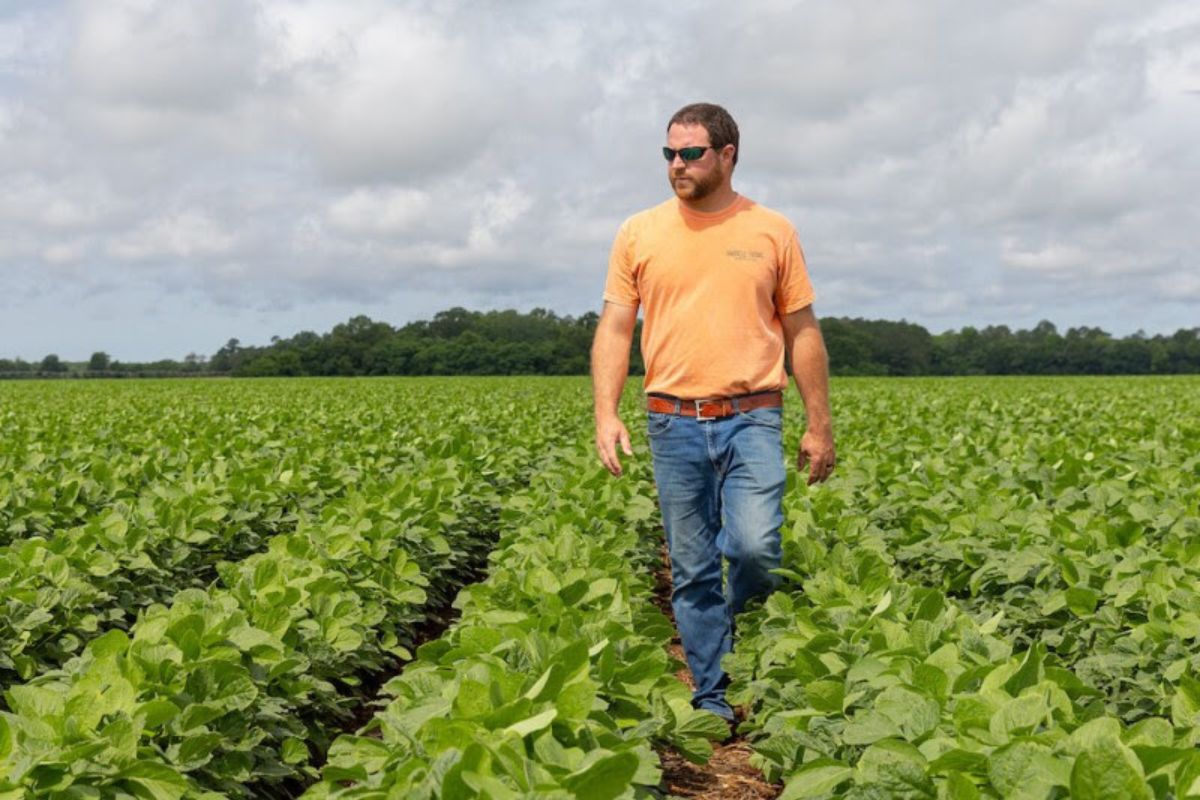 Alex Harrel em sua lavoura de soja nos EUA, que colheu 244,67 sacas por hectare. Foto: Arquivo Pessoal