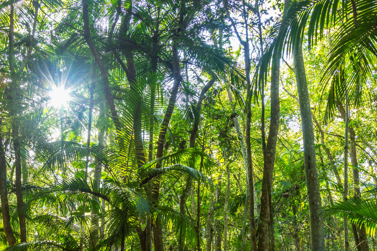 Foto: Adobe Stock