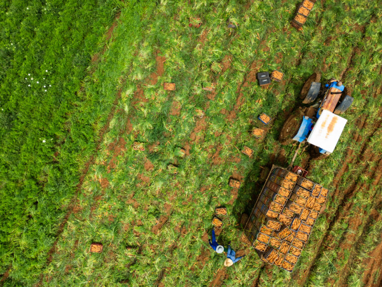 Plataforma vai habilitar descontos em juros de crédito rural por boas práticas agropecuárias