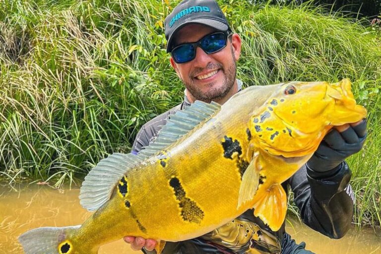 Pesca comercial do tucunaré é proibida no Amazonas