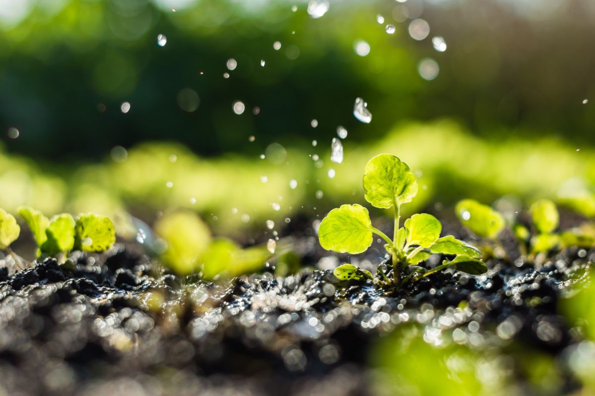 Foto: Adobe Stock