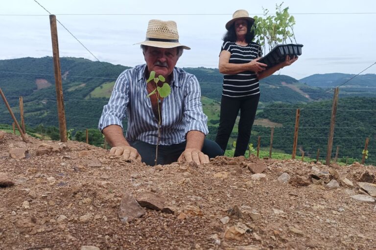 “Próxima safra plena será só em 2030”, diz produtor de uva atingido por deslizamentos no RS