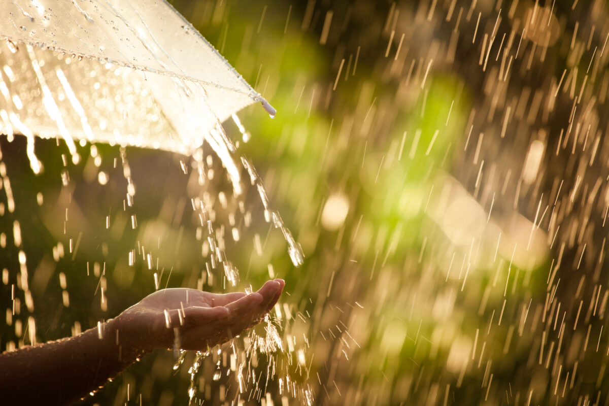 Foto: Adobe Stock
