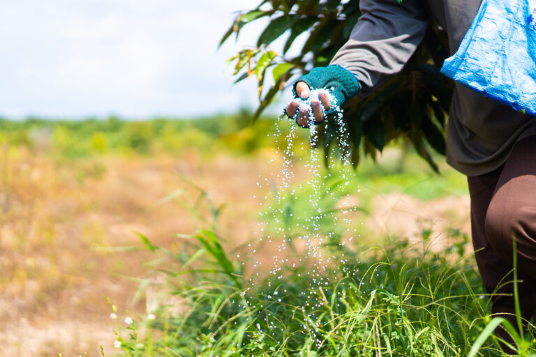 Quer deixar sua plantação saudável? Conheça o adubo ureia