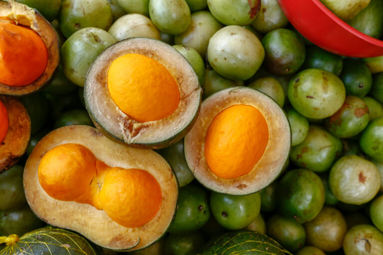 Pequi: saiba mais sobre o tesouro dourado do cerrado