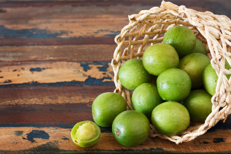 Umbu: conheça mais sobre essa deliciosa fruta do nordeste