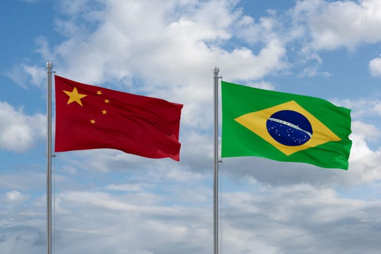China reduziu compras do agro brasileiro em 2024: o que significa?
