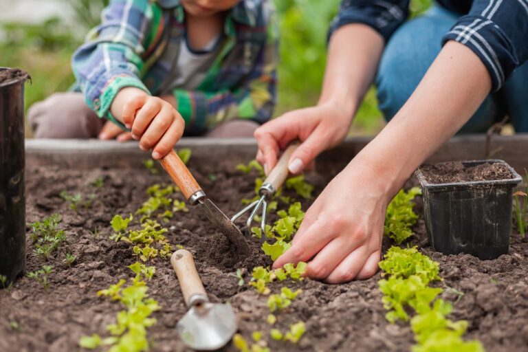 Secretaria de Agricultura de SP é incluída em iniciativa de educação climática da UNESCO