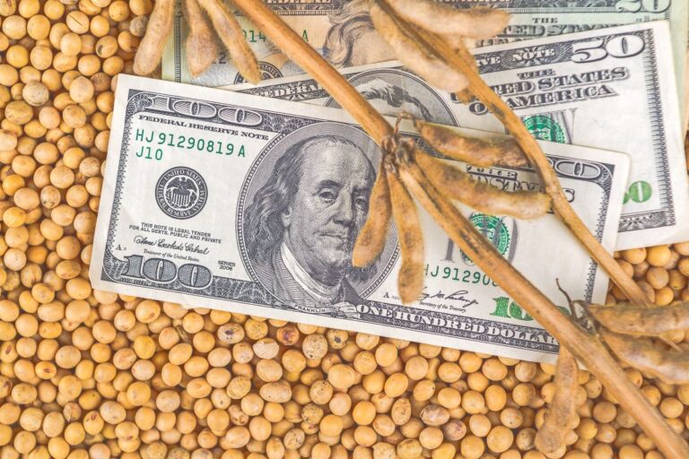 Soja acompanha Trump, clima na América do Sul e dólar abaixo de R$ 6
