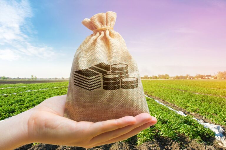 PIB do agro reage e deve representar 22% da economia brasileira em 2024