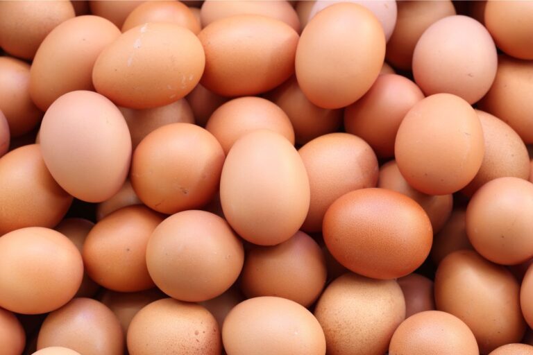 Janeiro termina com poder de compra de produtores de ovos em queda 