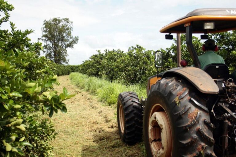 Exportações do agro paulista batem recorde de US$ 30,6 bilhões