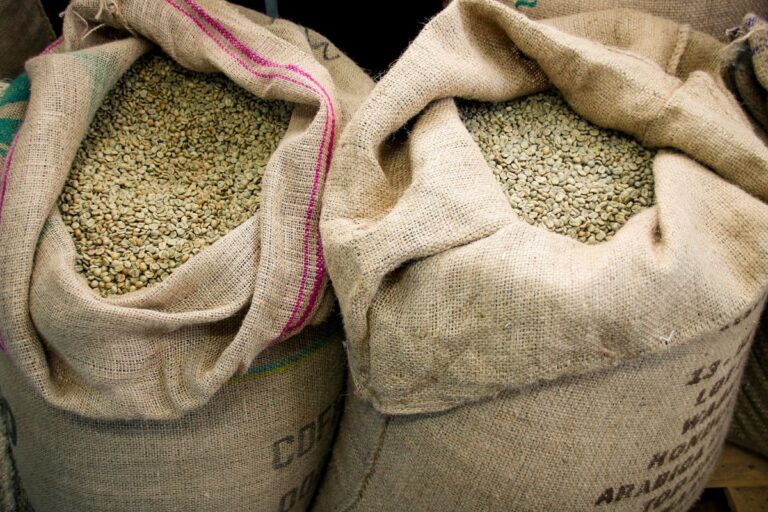 Safra de café encerra 2024 com 54,2 milhões de sacas