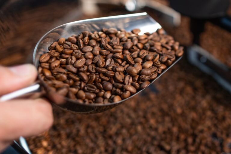 Exportadores de café calculam R$ 11,9 milhões em prejuízo com atrasos nos portos