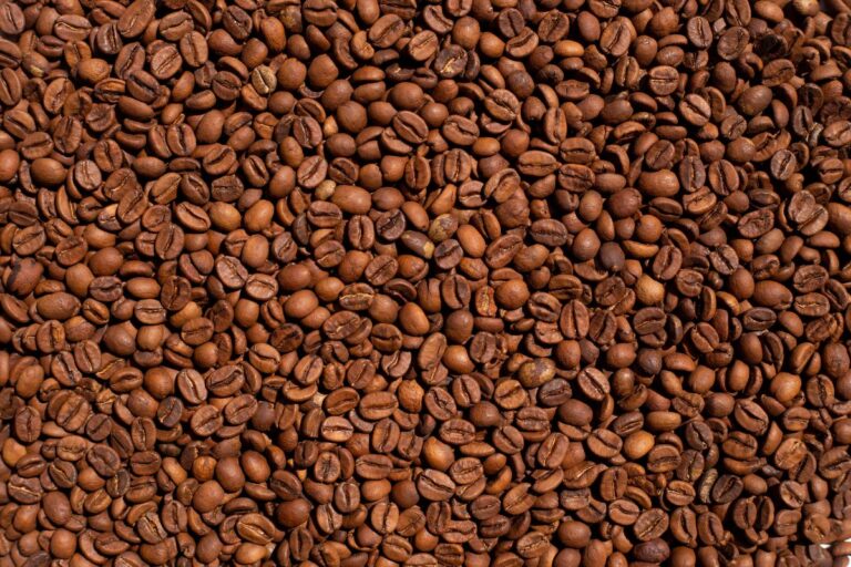 Exportação de café bate recorde de 50,4 milhões de sacas em 2024