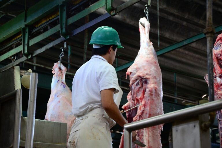 Lula e ministros discutem medidas para baratear alimentos