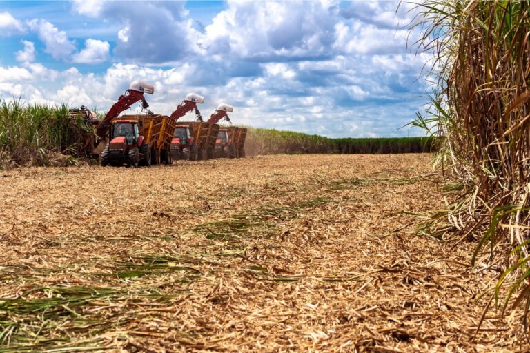 São Paulo reativa Câmara Setorial de Açúcar, Etanol e Bioenergia