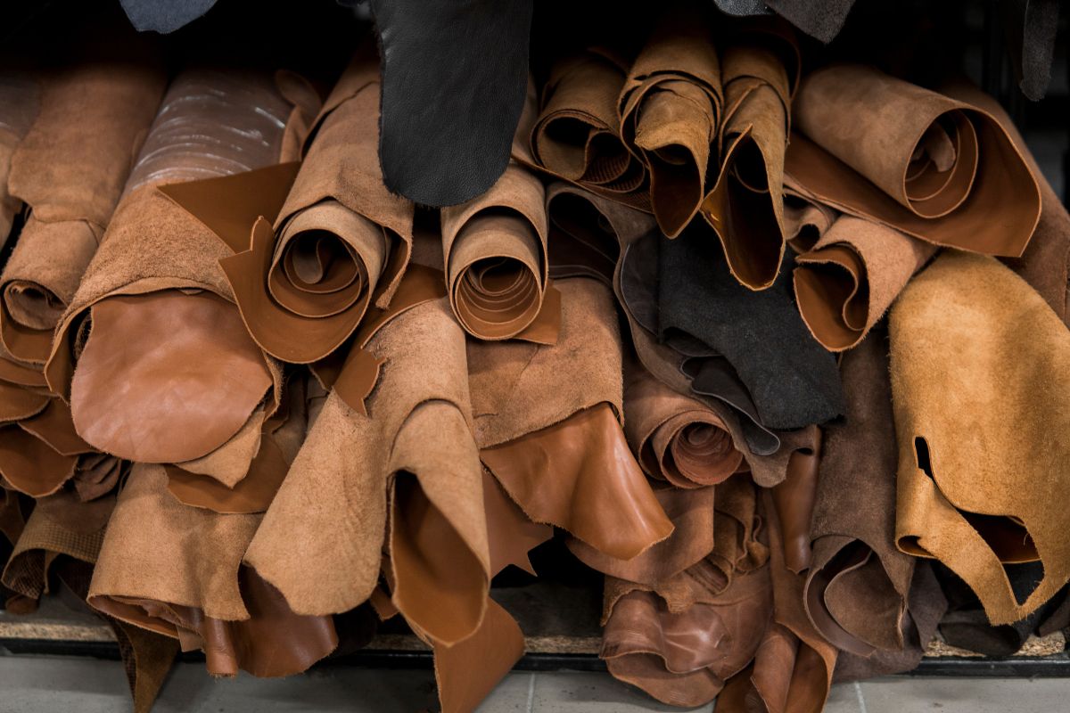 Foto: Adobe Stock