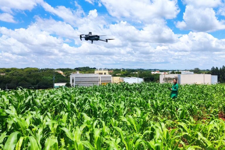 Drones reduzem custos e tempo em pesquisa sobre milho resistente à seca