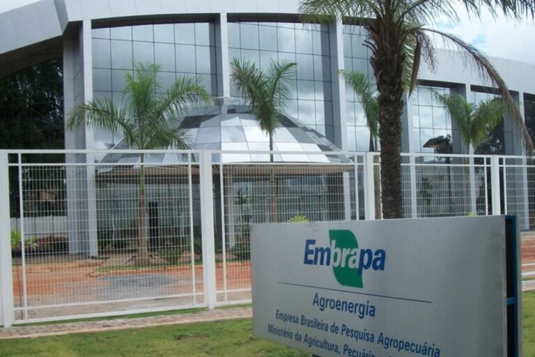 Embrapa prorroga inscrições para concurso até 14 de janeiro