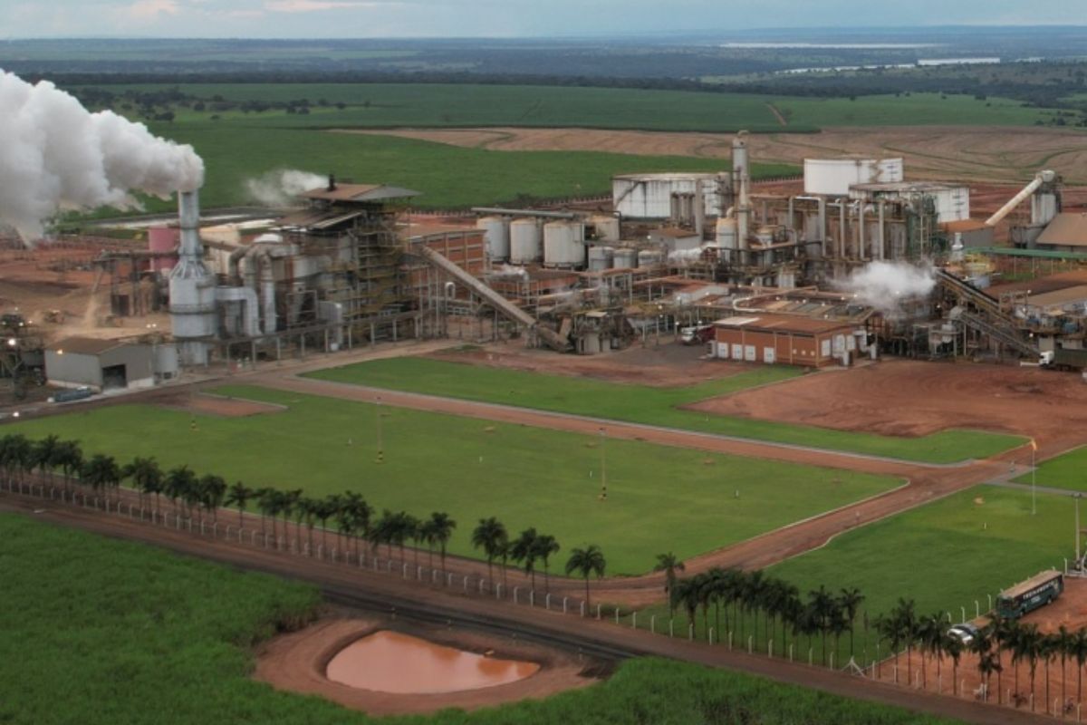 Foto: CMAA Vale do Pontal/Divulgação